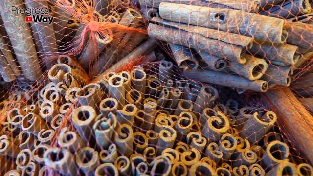 Вот Как ПО-ТИХОМУ Избавиться От Газов! Газы В Животе (метеоризм) Пройдут, Если... смотреть онлайн