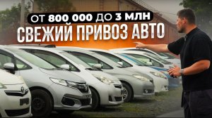 АВТОМОБИЛИ ИЗ ЯПОНИИ ПО ВКУСНЫМ ЦЕНАМ❗️ АВГУСТ 2024 ☀️ НАДО БРАТЬ❗️