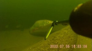 Подводная охота в Волгограде  Моменты 2022 года