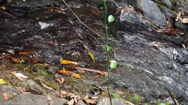 Most Popular Piano Covers of Beautiful Love Songs 2024 | Great Romantic Relaxing Piano Classic Musi смотреть онлайн