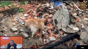 Манурин смотрит: Стас аскет || РАЗРУХА ВОКРУГ МОЕГО ДОМА