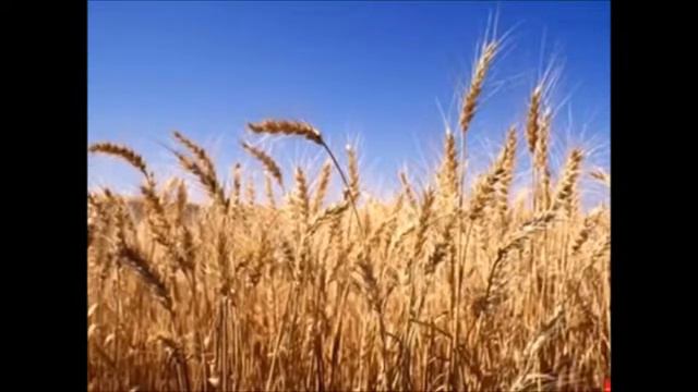 #Бери шинель, пошли домой смотреть онлайн