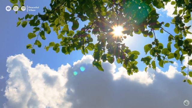 Música para Sanación del Estrés ? Ansiedad y Depresión, Quitar la Rabia Interior y la Tristeza #290 смотреть онлайн