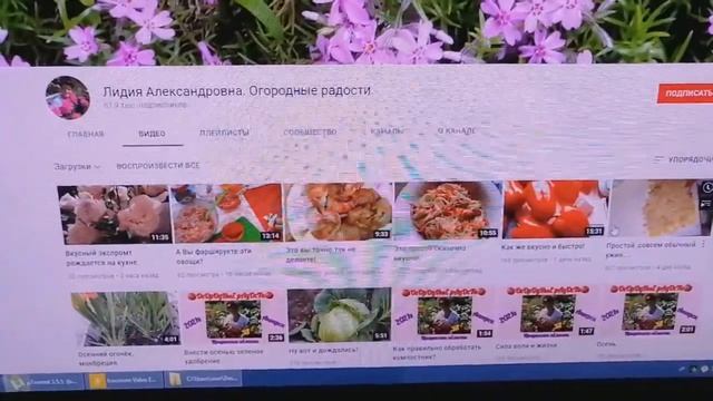 @Лидия Александровна.Огородные радости. Томат Розовый снег (по просьбе зрительницы моего канала) смотреть онлайн