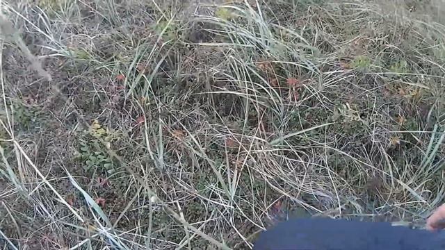 РЕКА ТОВА 2015 смотреть онлайн