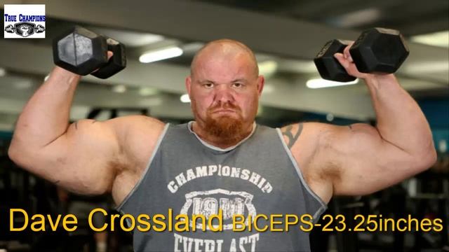 Top 10 Biggest ? Biceps in The World