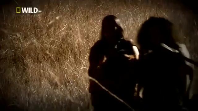 Доисторический мир древних животных. Смилодон. 4 обрезанная часть.