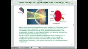 ▼Строение Глаза Человека▼|▼Stroenie Glaza Cheloveka▼