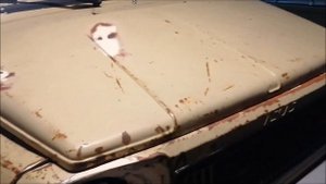 Подготовка луаза к покраске в бронятор