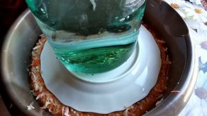 квашеная капуста, всегда получается хрустящей и вкусной, без уксуса и сахара.#квашенаякапуста.