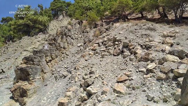 МОРЕ. ПРАСКОВЕЕВКА пляж в августе. Скала ПАРУС.