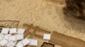 Настольная игра Найди слово