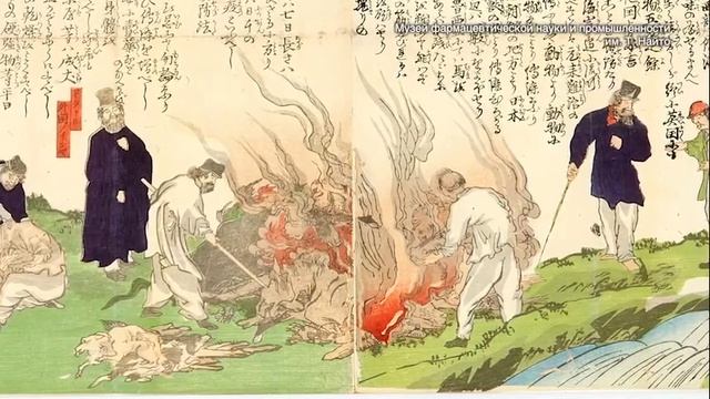 О ветеринарном контроле в Японии смотреть онлайн