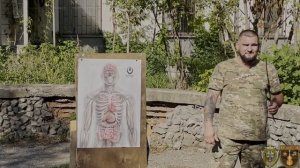 О кровеноснной системе и ранениях