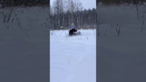 Stels Ермак 600L