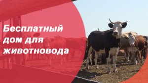 Бесплатный дом для животновода. Сельское хозяйство