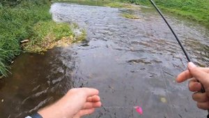 УЛЬТРА-ЛАЙТ СПИННИНГ на микро речке: пошёл за голавлем, а клюёт щука! | Щука на ультралайт