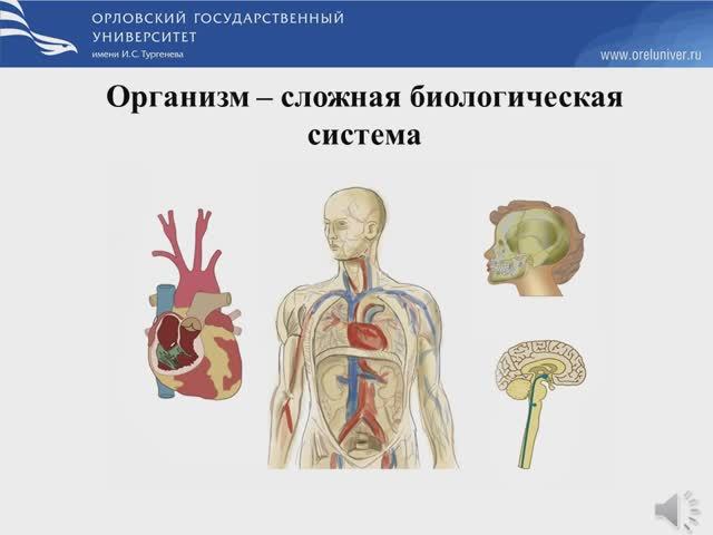 Организм – сложная биологическая система