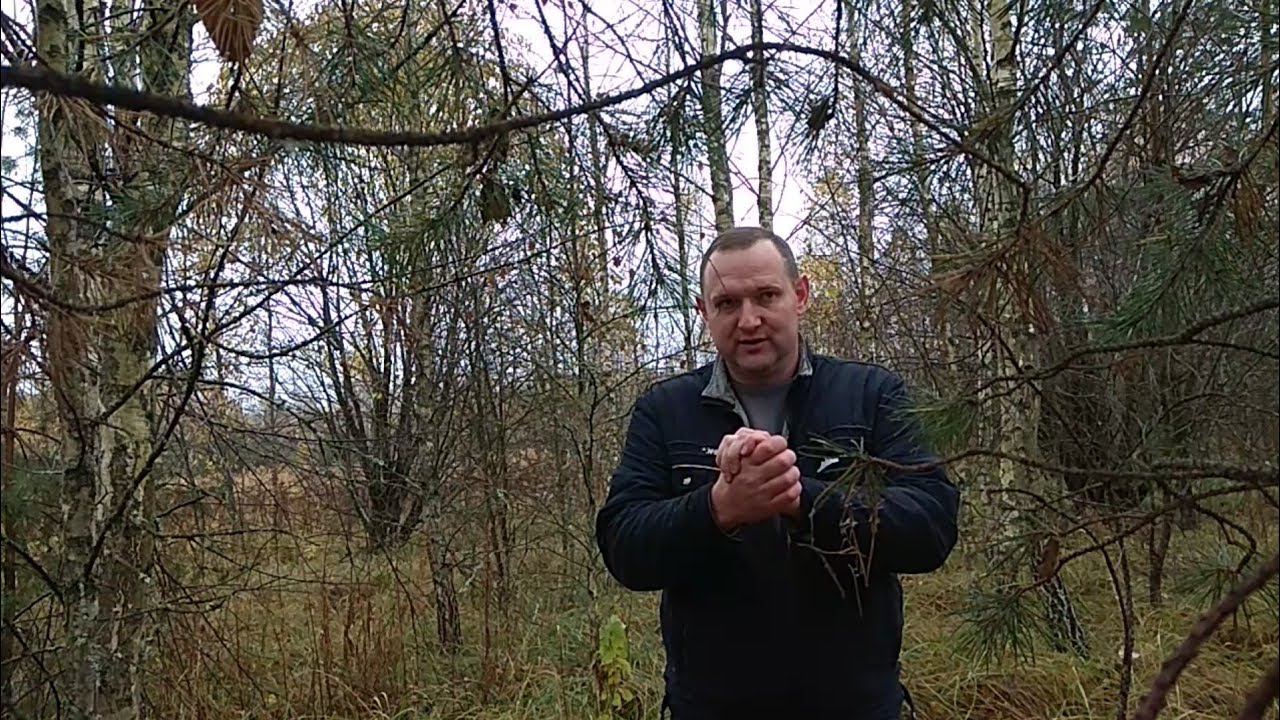 Уважаемые подписчики!!!!!