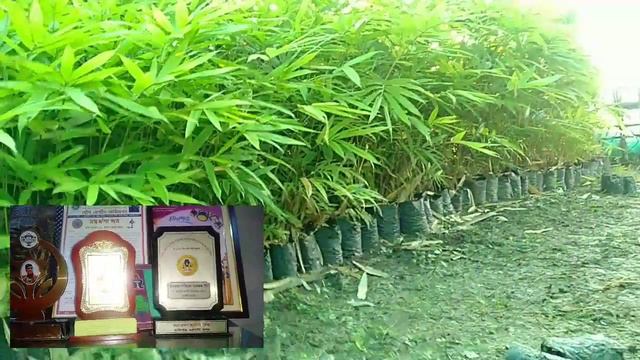 Orchid Man Dr Rahmat Ali | পৰিবেশ সংৰক্ষণৰ ক্ষেত্ৰত যাৰ আছে অসাধাৰণ অৱদান। Orchid Folwer Of Assam| смотреть онлайн