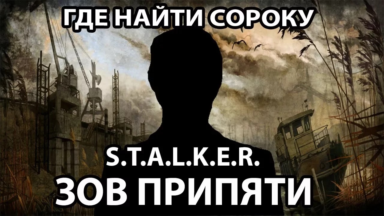 Найти сталкера сороку. Сорока сталкер. Где сорока сталкер. В поисках сороки найти сталкера Зов Припяти. Соколов сталкер.