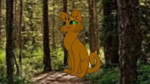 я новый квшник