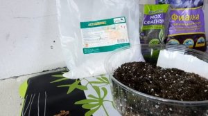 Грунт для фиалок. Состав для верхнего полива!!! Фиалки от листочка до цветочка.Путь новичка 19