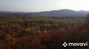 Сопка Змеиная. Хехцирский заповедник. Хабаровск. край. 2020.