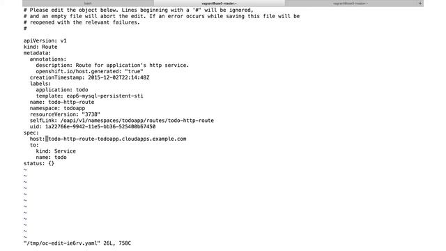 Introduction to OpenShift Enterprise CLI смотреть онлайн
