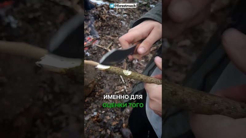 ПАЛКА ОПРЕДЕЛЯЮЩАЯ ХОРОШИЙ НОЖ! #выживание #бушкрафт #bushcraft #knife #нож #survival  #forest