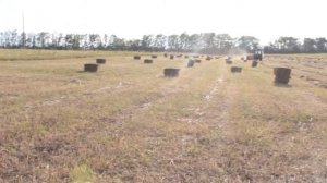 Пресс Сипма в работе. Sipma.