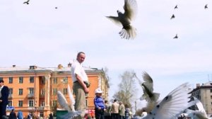 Это город Рубцовск.avi