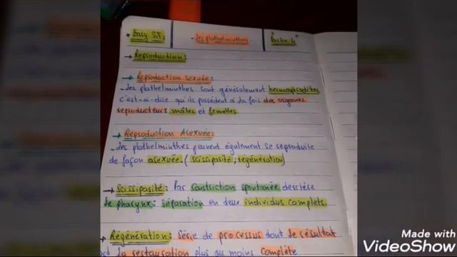 Biologie animale : la reproduction chez les plathelminthes .. جذ هام !!! смотреть онлайн