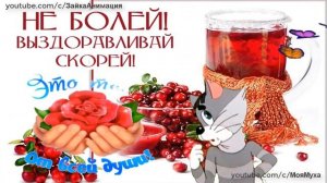 ВЫЗДОРАВЛИВАЙ И НЕ БОЛЕЙ