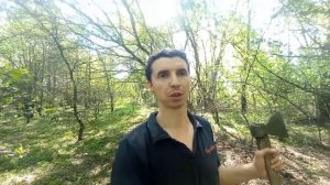 Установка электропастуха, природа, птицы, звери, просто класс.