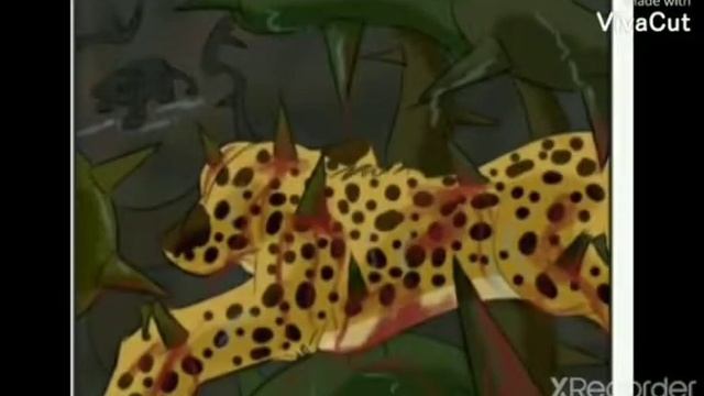 неизвестное странствие,картинки львов под музыку 8 смотреть онлайн