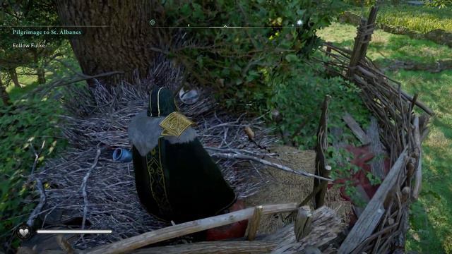 Cent Bird Nest The Sky Thief Mystery Assassin's Creed Valhalla смотреть онлайн