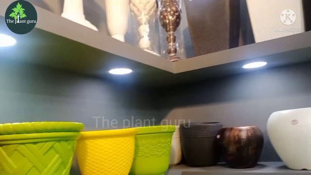 नर्सरी प्रदर्शनी आंध्र प्रदेश 2022 की झलक || unique pots,plant and stone all tips || bonsai || смотреть онлайн