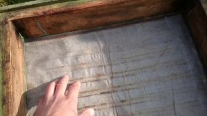 Вентиляция улья