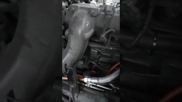 Течь гура смотреть онлайн