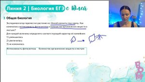 Разбор заданий линии 2 | Биология ЕГЭ 2024
