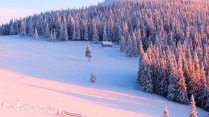 Говорите всего ДВА СЛОВА каждый день -уйдут все болезни и проблемы.