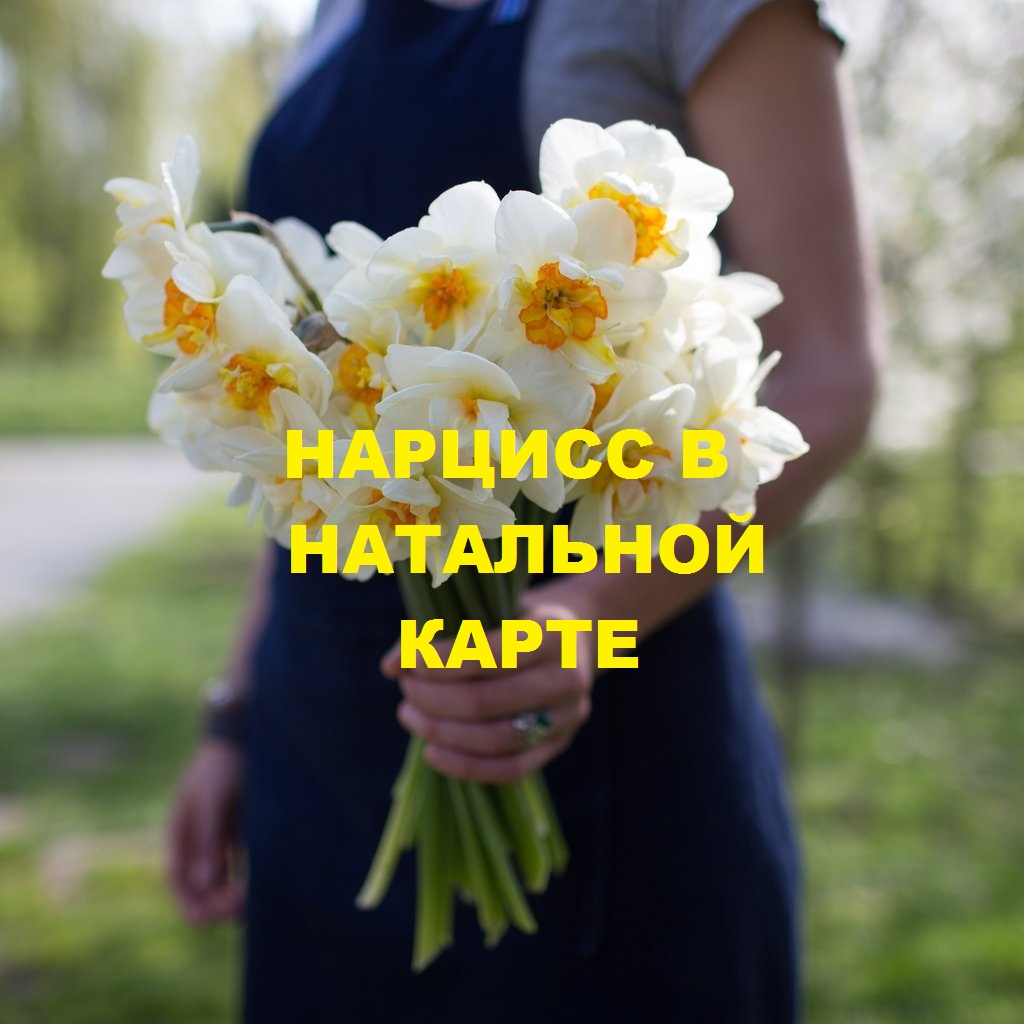 Как распознать нарцисса по натальной карте. Астропсихология.