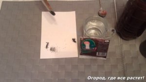 159. ОТЛИЧНАЯ ПОДКОРМКА ДЛЯ РАССАДЫ. Зола. Гумат.