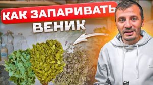 НЕ парьтесь свежими вениками! Как заготавливать веники для бани? Как хранить банный веник? Парение