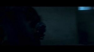 Бессмертная гвардия