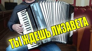 Ты ждешь Лизавета На Аккордеоне Аккордеонист Баянист (аккордеон кавер)