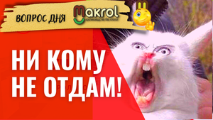 ?Крольчиха кусает крола во время случки и ?Причем тут Александр Абдулов и Богомол #Макляк #Макр