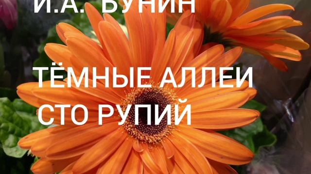 И. А. БУНИН  ,,ТЁМНЫЕ АЛЛЕИ" ,,СТО РУПИЙ"