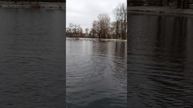 Моржевание. Закаливание в Парке Победы!| зимнееплавание | winterswimming |